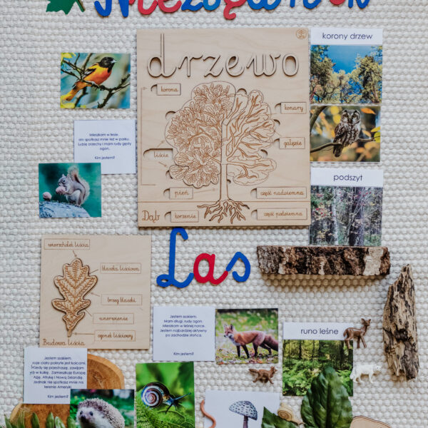 NIEZBĘDNIK EDUKACYJNY MONTESSORI LAS