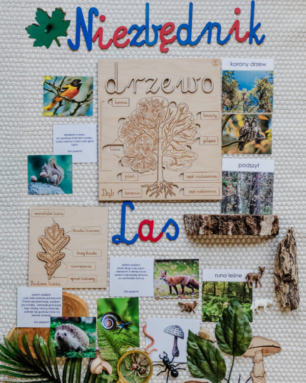 NIEZBĘDNIK EDUKACYJNY MONTESSORI LAS