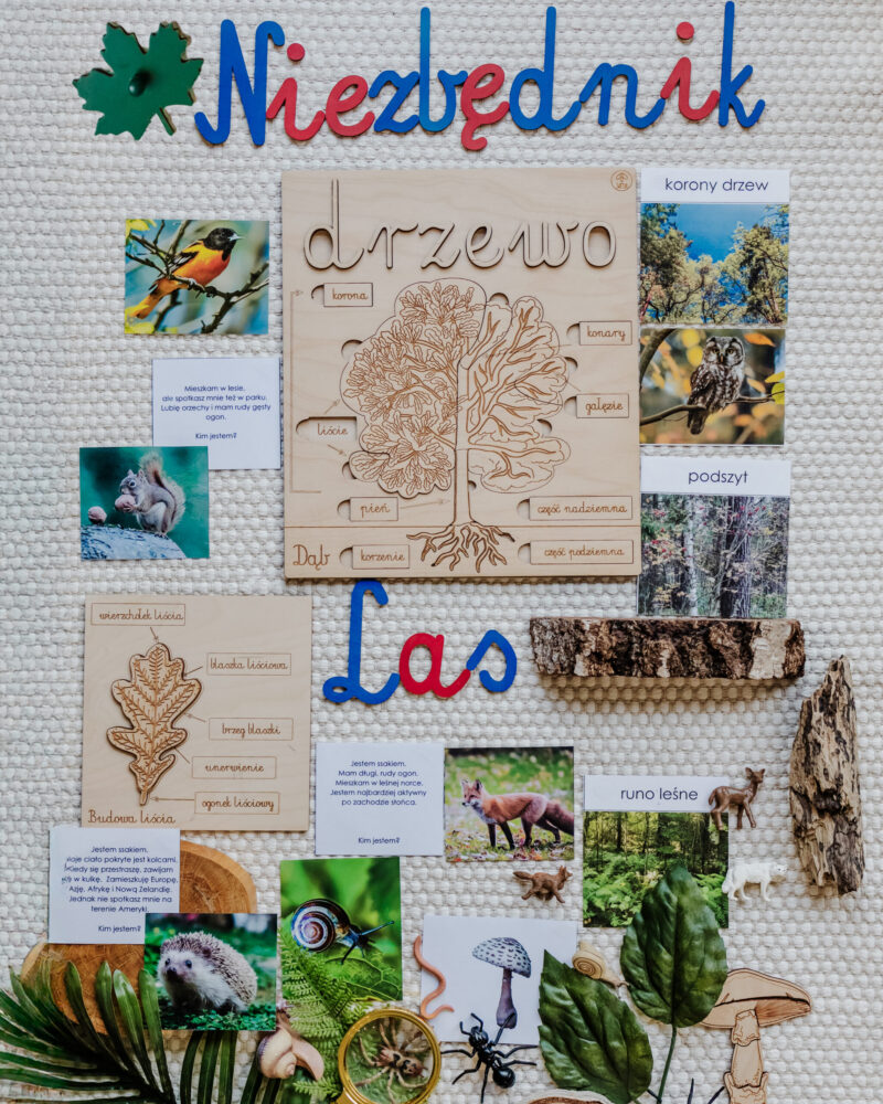 NIEZBĘDNIK EDUKACYJNY MONTESSORI LAS