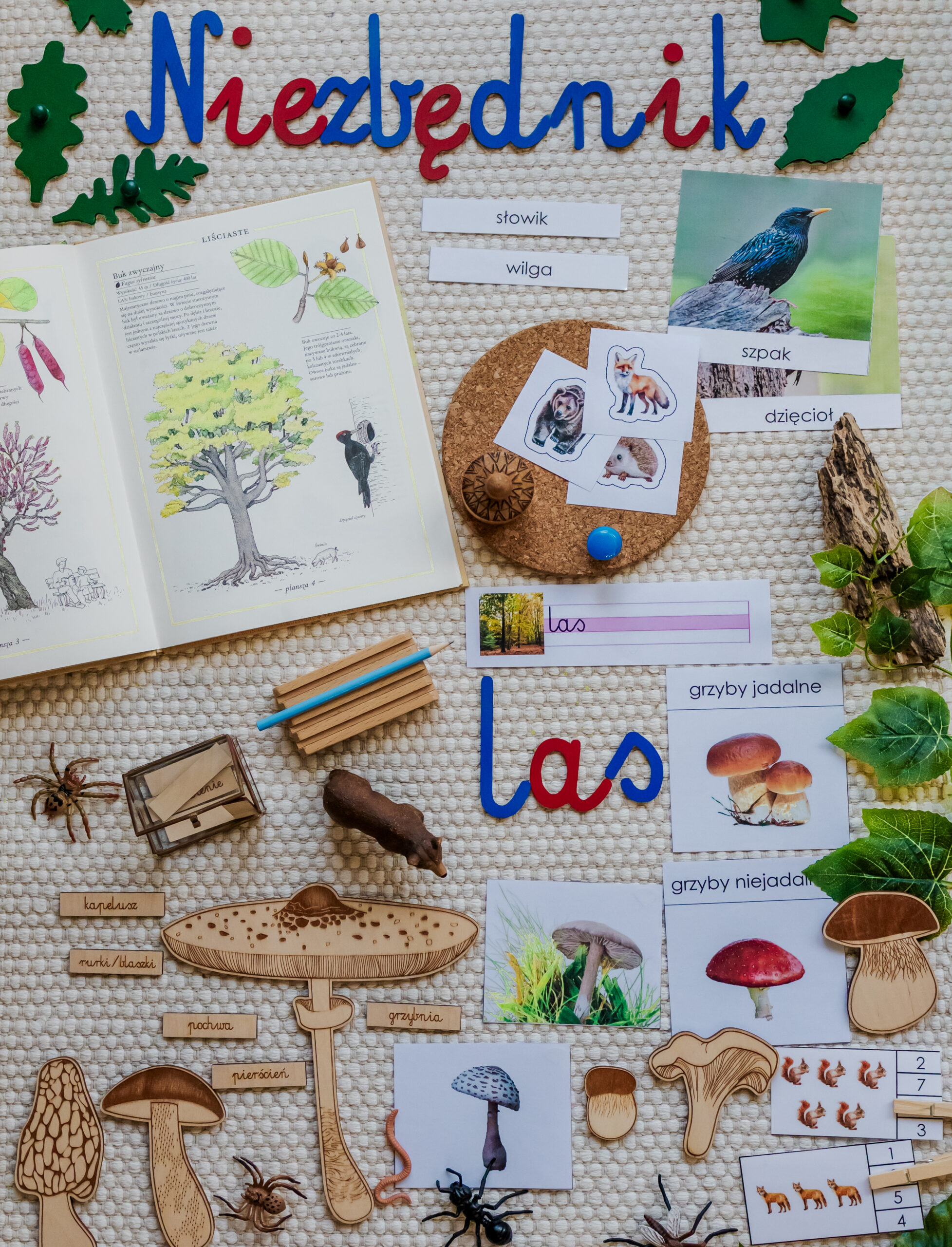 Niezbednik-Las-poprawka-scaled