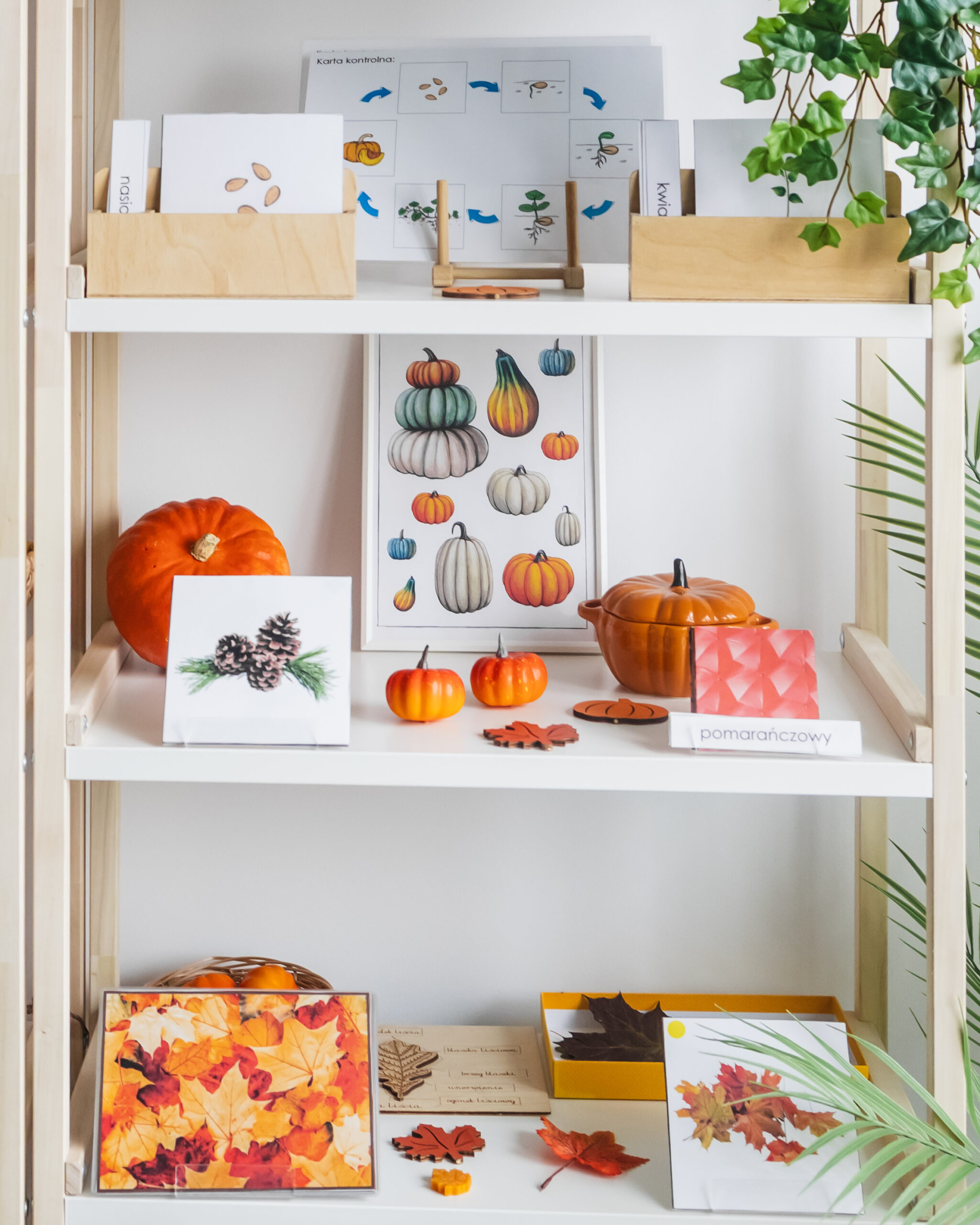 jesien-regal-6-1-scaled