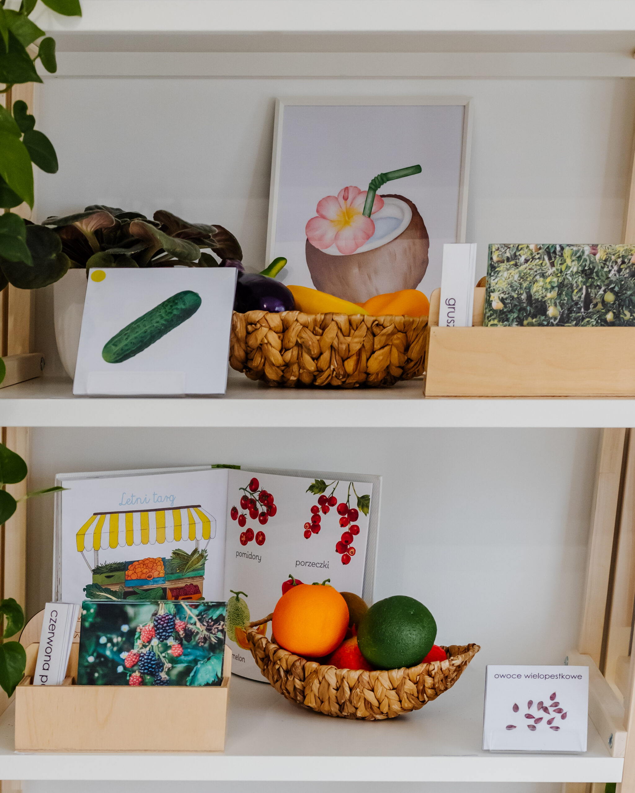 lato-regal-przybliz-3-scaled