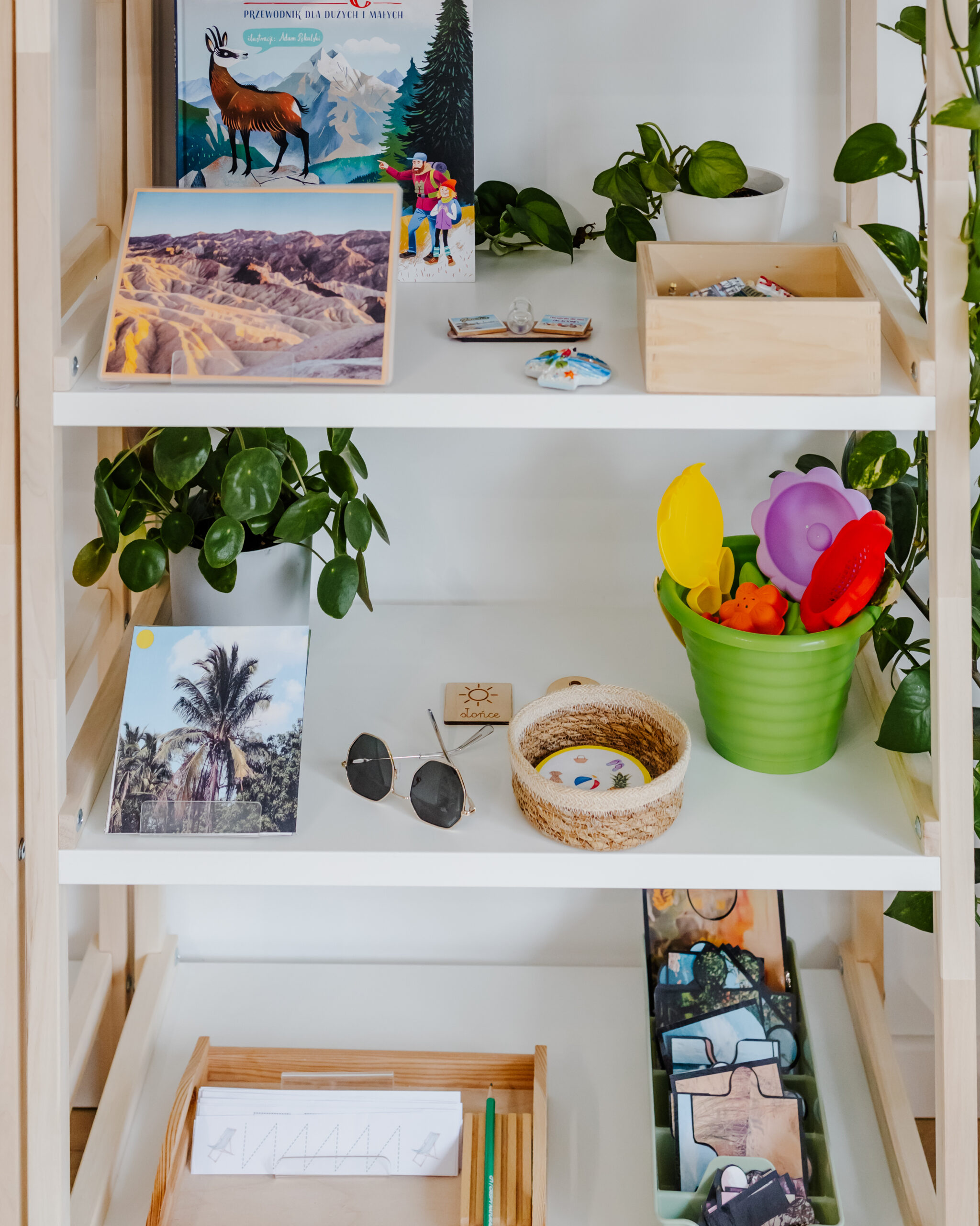 lato-regal-przybliz1-scaled