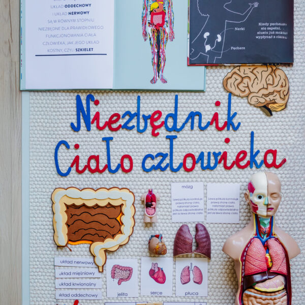 NIEZBĘDNIK EDUKACYJNY MONTESSORI CIAŁO CZŁOWIEKA