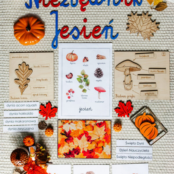 NIEZBĘDNIK EDUKACYJNY MONTESSORI JESIEŃ