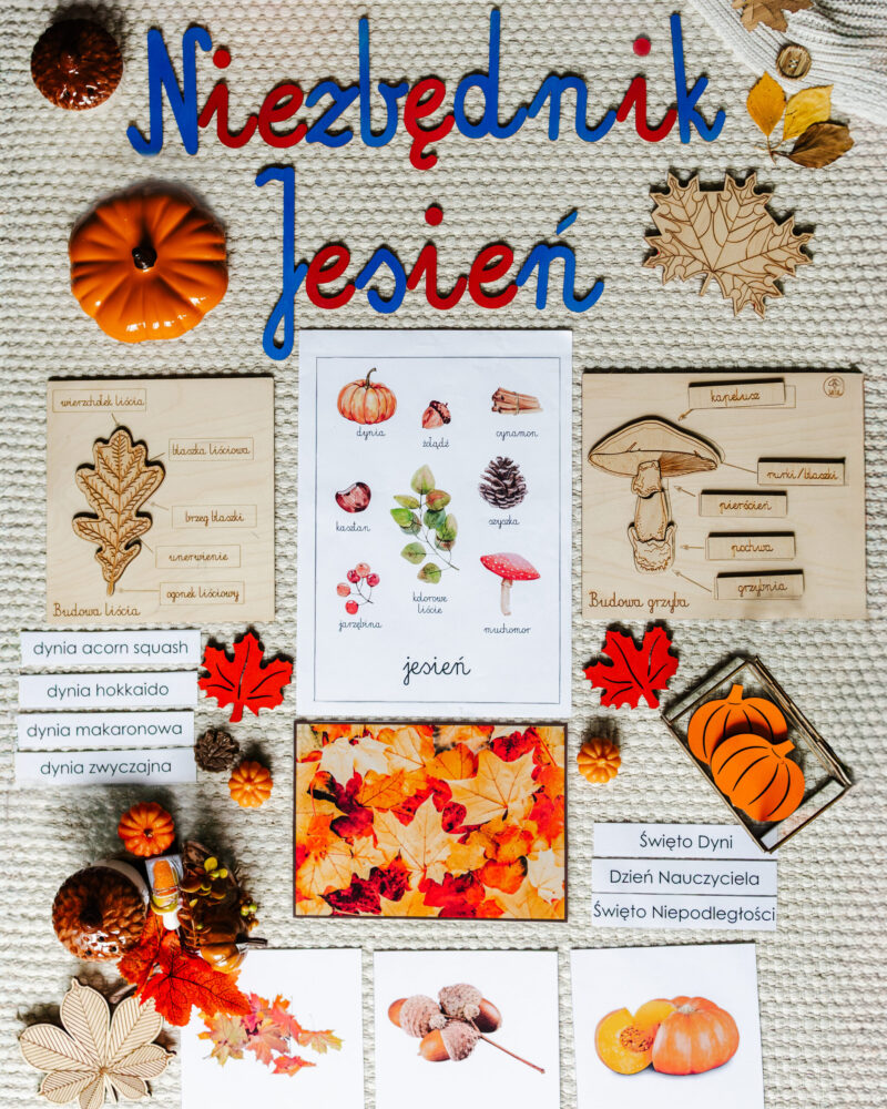 NIEZBĘDNIK EDUKACYJNY MONTESSORI JESIEŃ