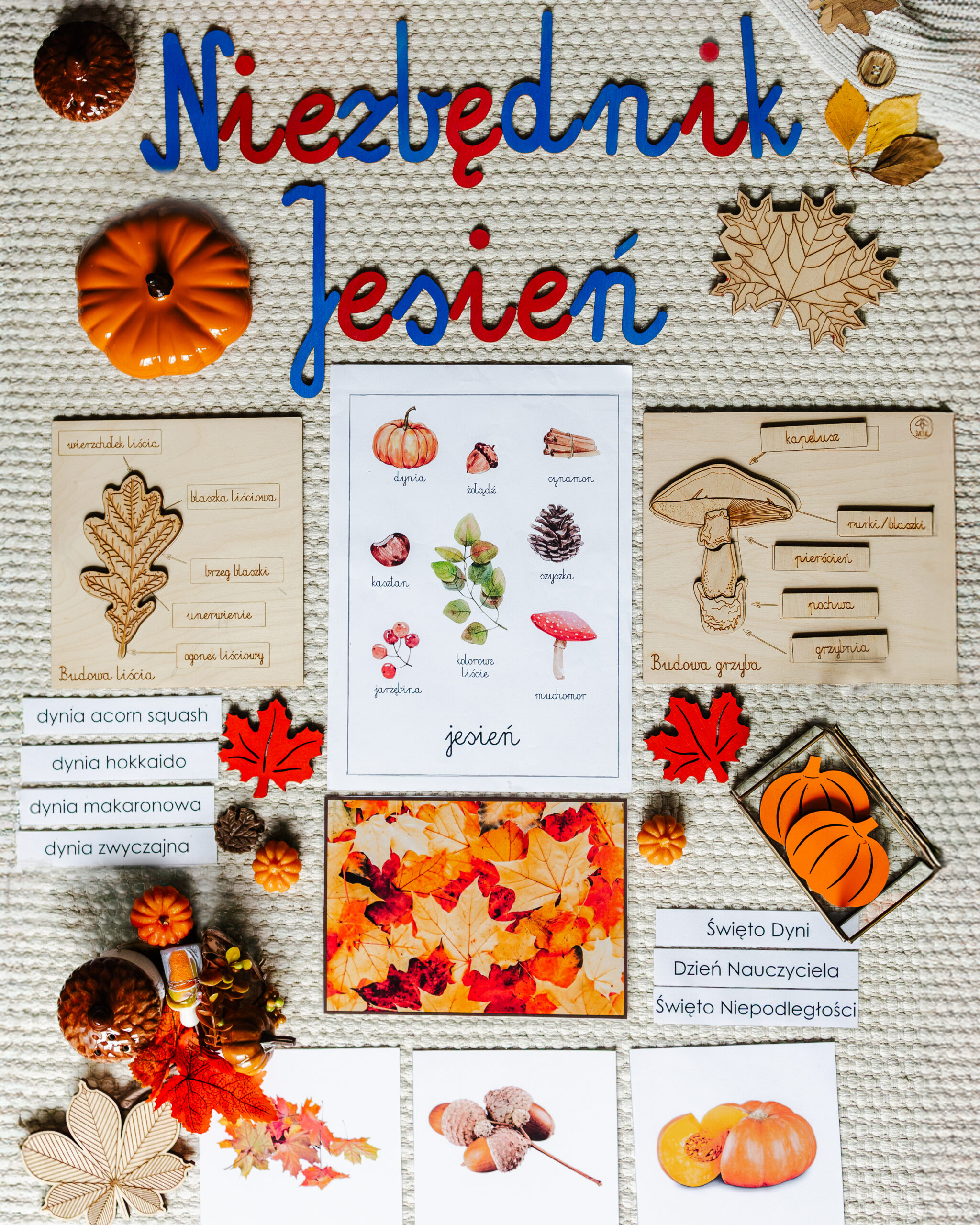 NIEZBĘDNIK EDUKACYJNY MONTESSORI JESIEŃ