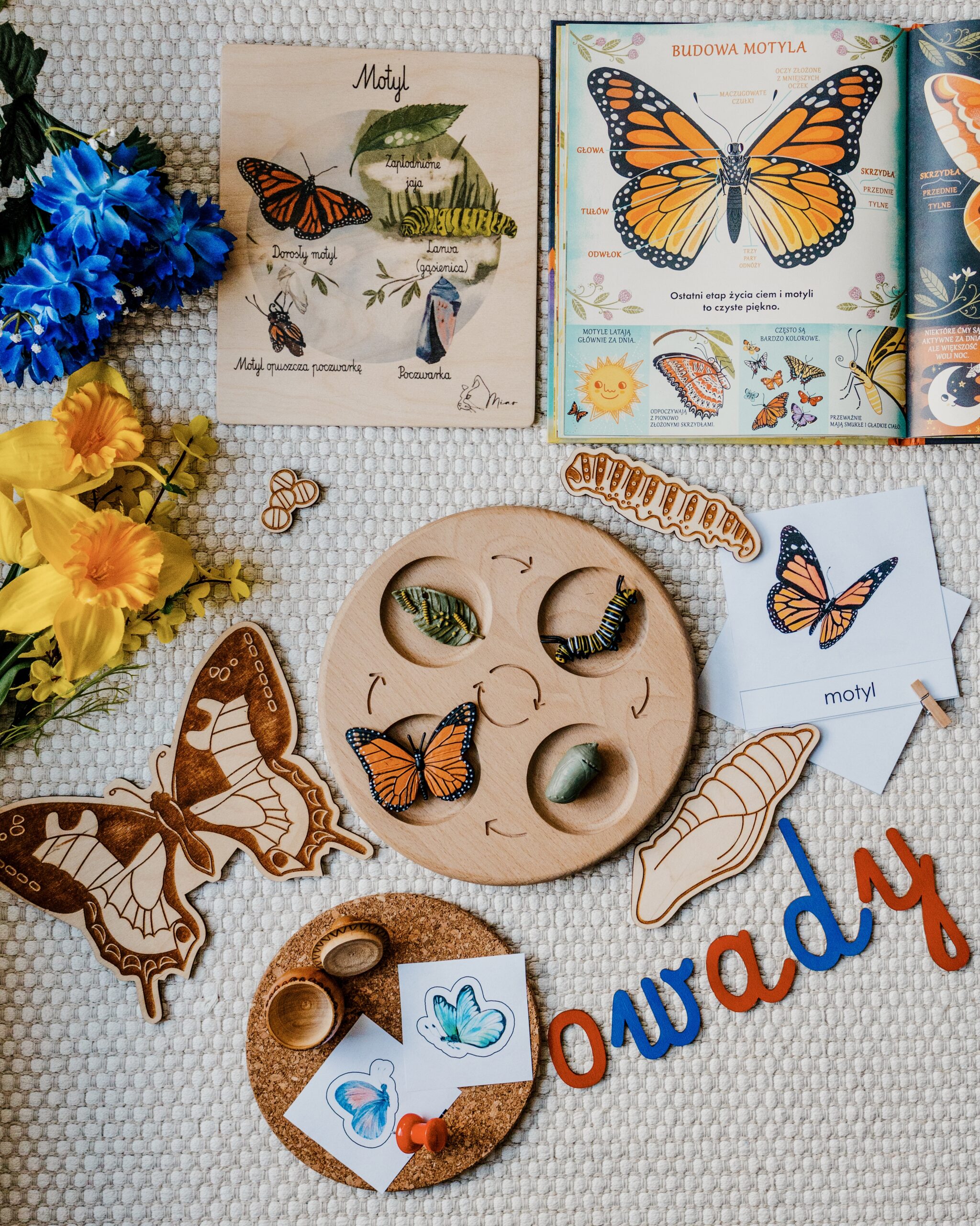 niezbednik-owady-jasne-scaled (1)