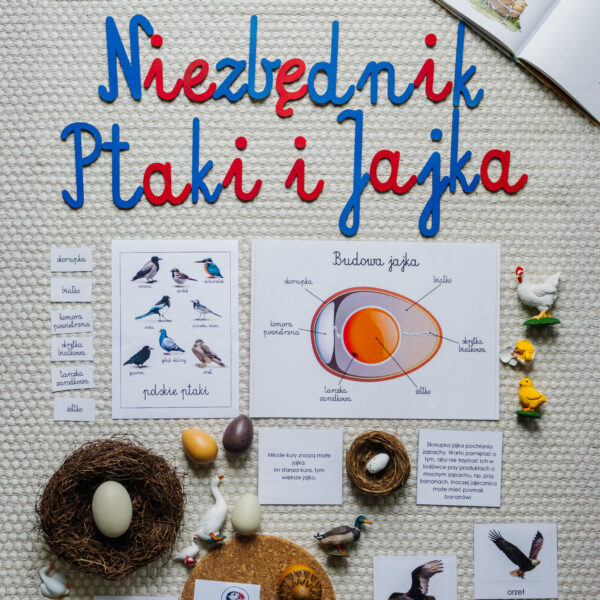 NIEZBĘDNIK EDUKACYJNY MONTESSORI PTAKI I JAJKA