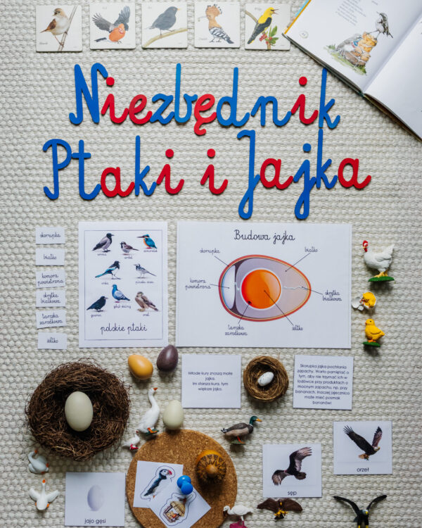 NIEZBĘDNIK EDUKACYJNY MONTESSORI PTAKI I JAJKA