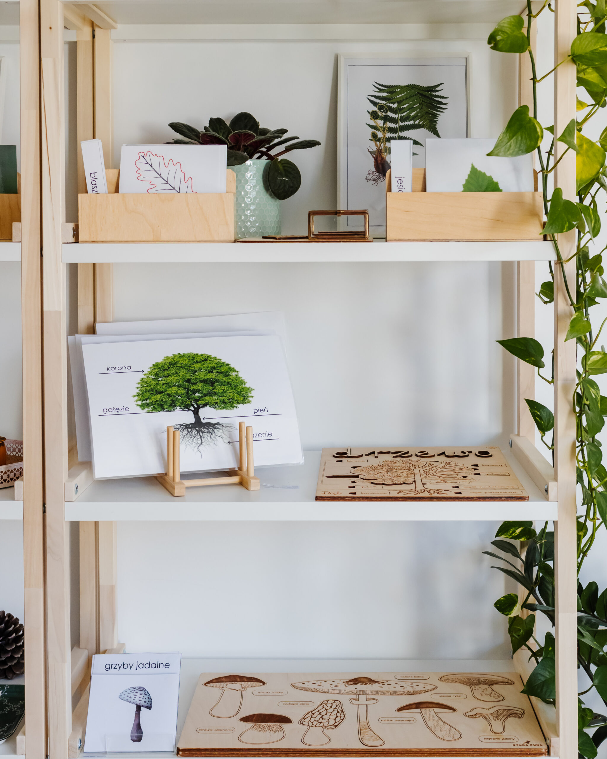 NIEZBĘDNIK EDUKACYJNY MONTESSORI LAS - obrazek 5