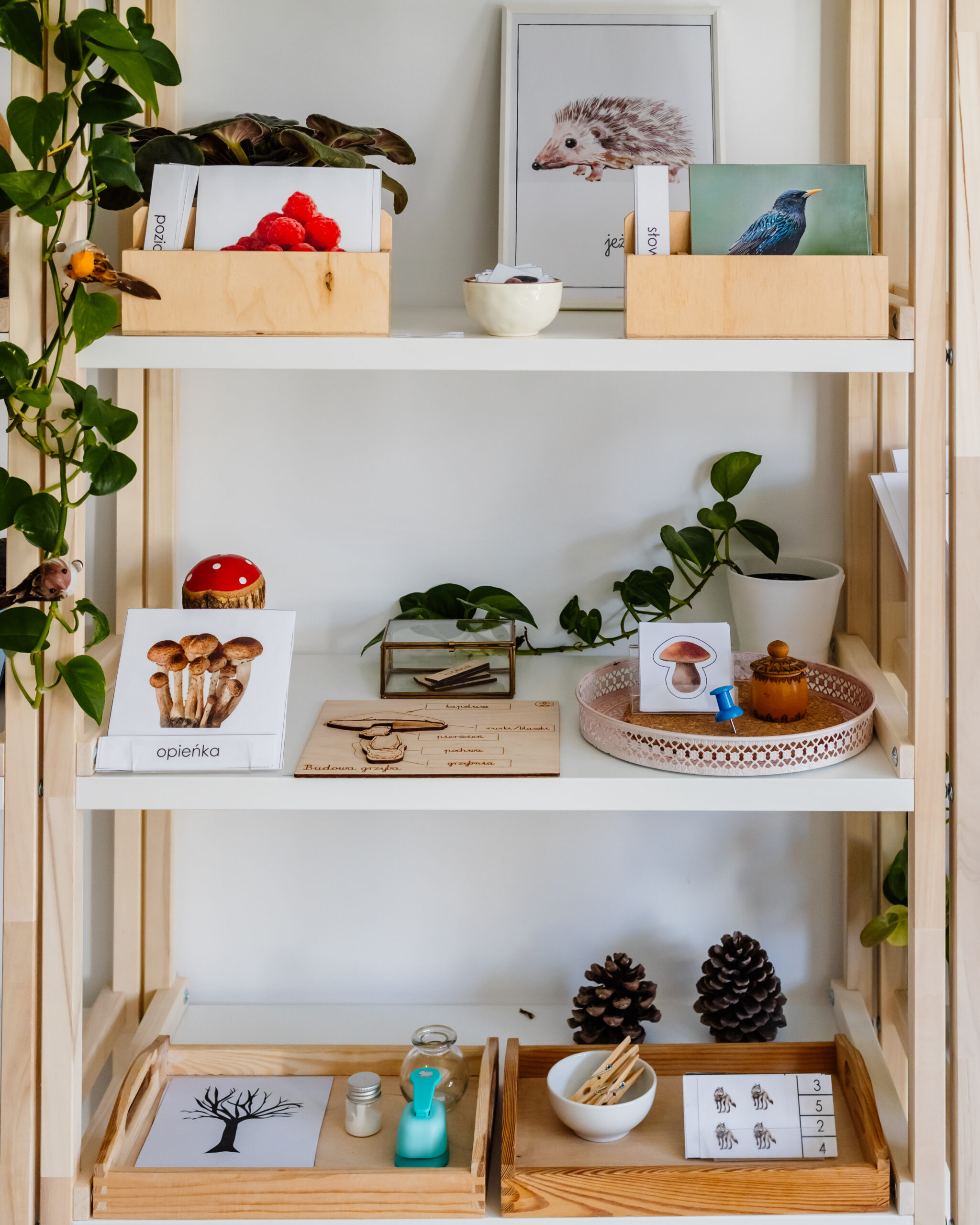 NIEZBĘDNIK EDUKACYJNY MONTESSORI LAS - obrazek 4