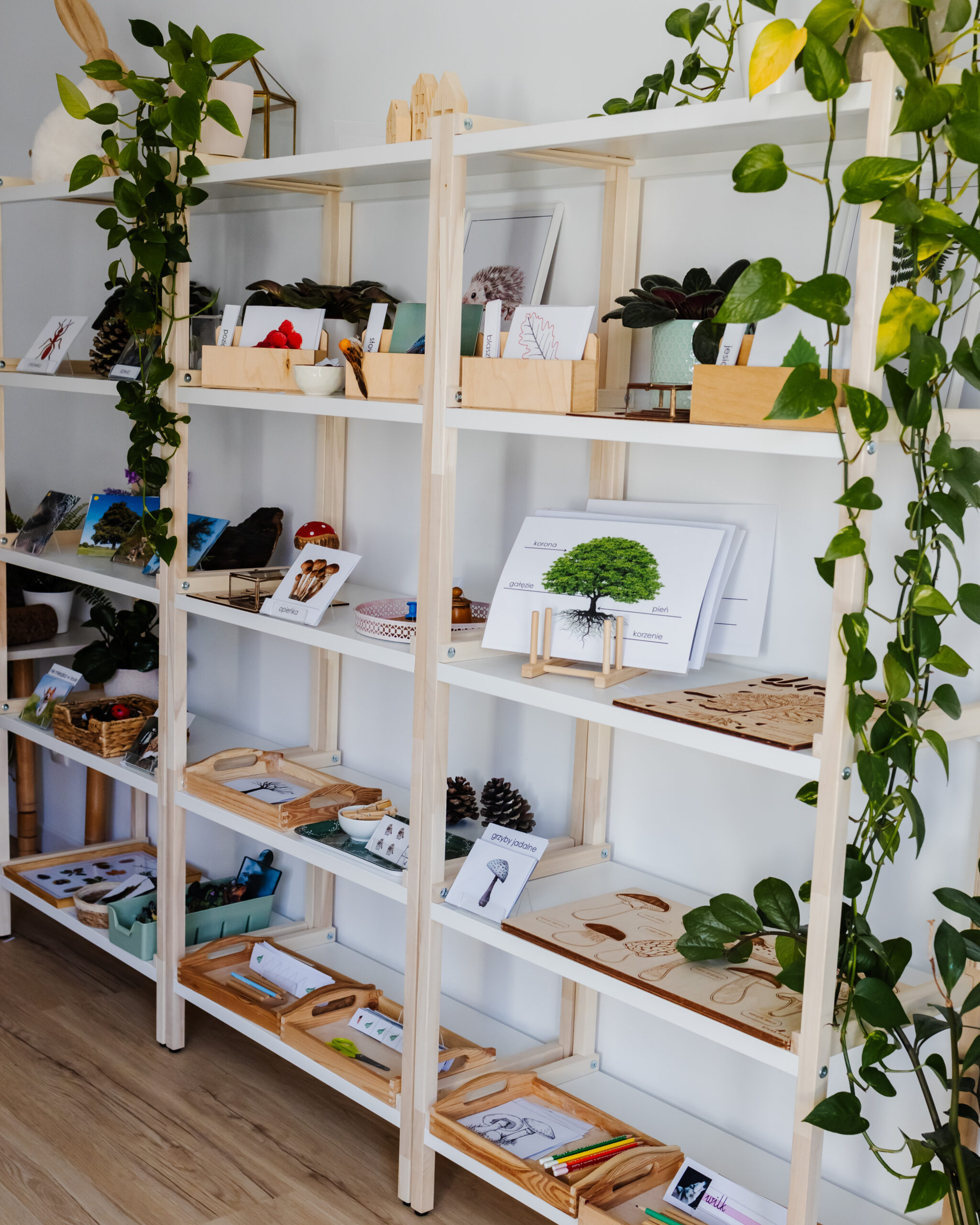 NIEZBĘDNIK EDUKACYJNY MONTESSORI LAS - obrazek 2