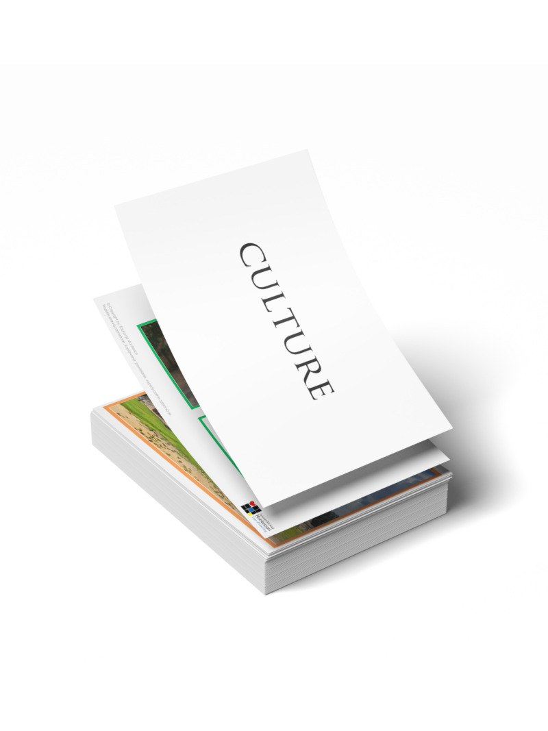 TEACHER ESSENTIAL: COULTURE