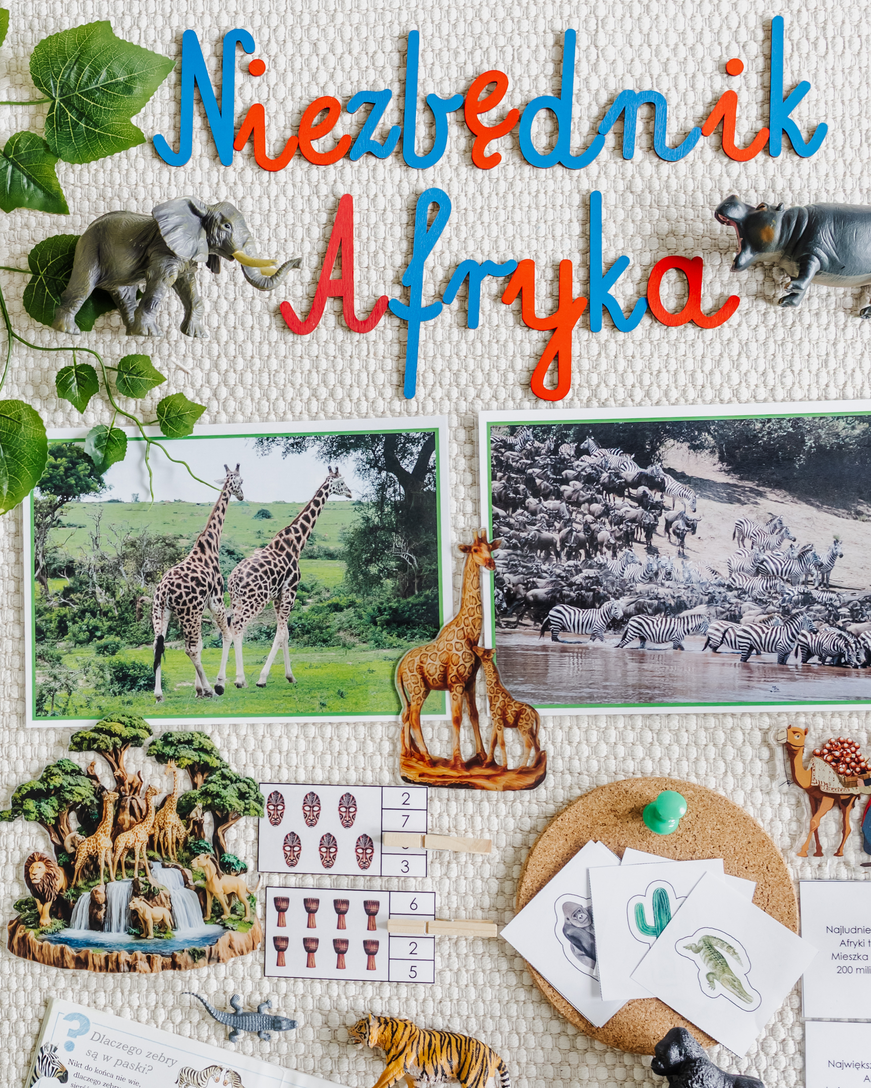 NIEZBĘDNIK EDUKACYJNY MONTESSORI AFRYKA - obrazek 11