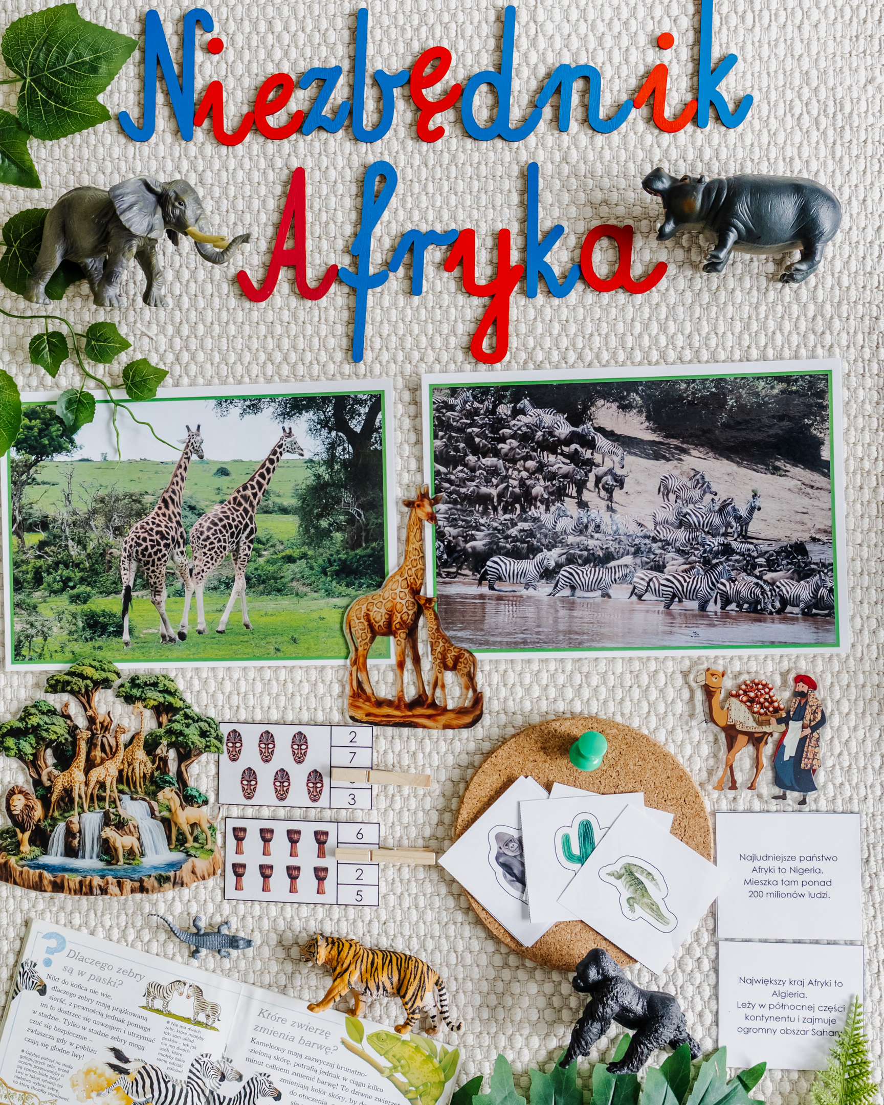 NIEZBĘDNIK EDUKACYJNY MONTESSORI AFRYKA - obrazek 4