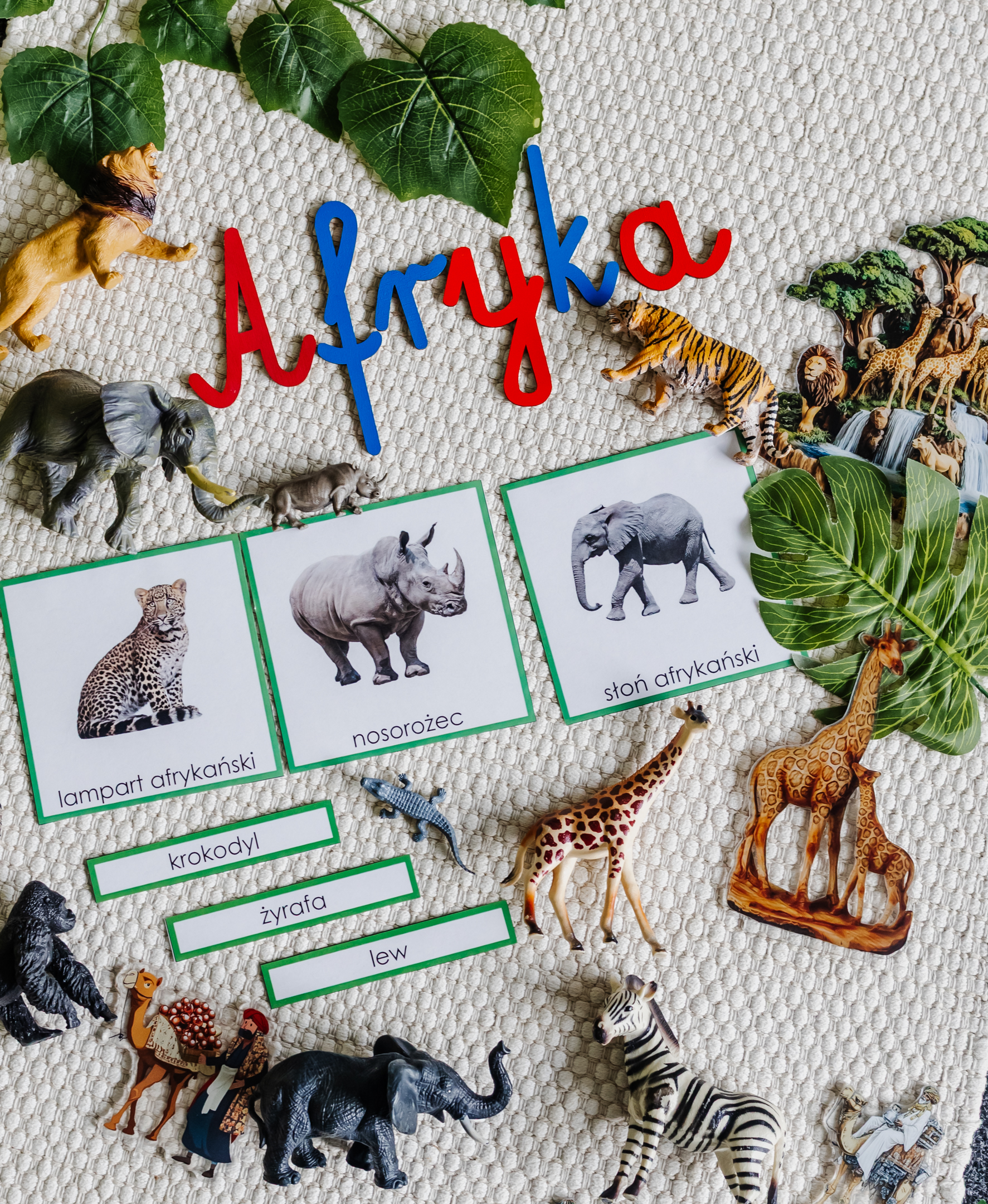 NIEZBĘDNIK EDUKACYJNY MONTESSORI AFRYKA - obrazek 7