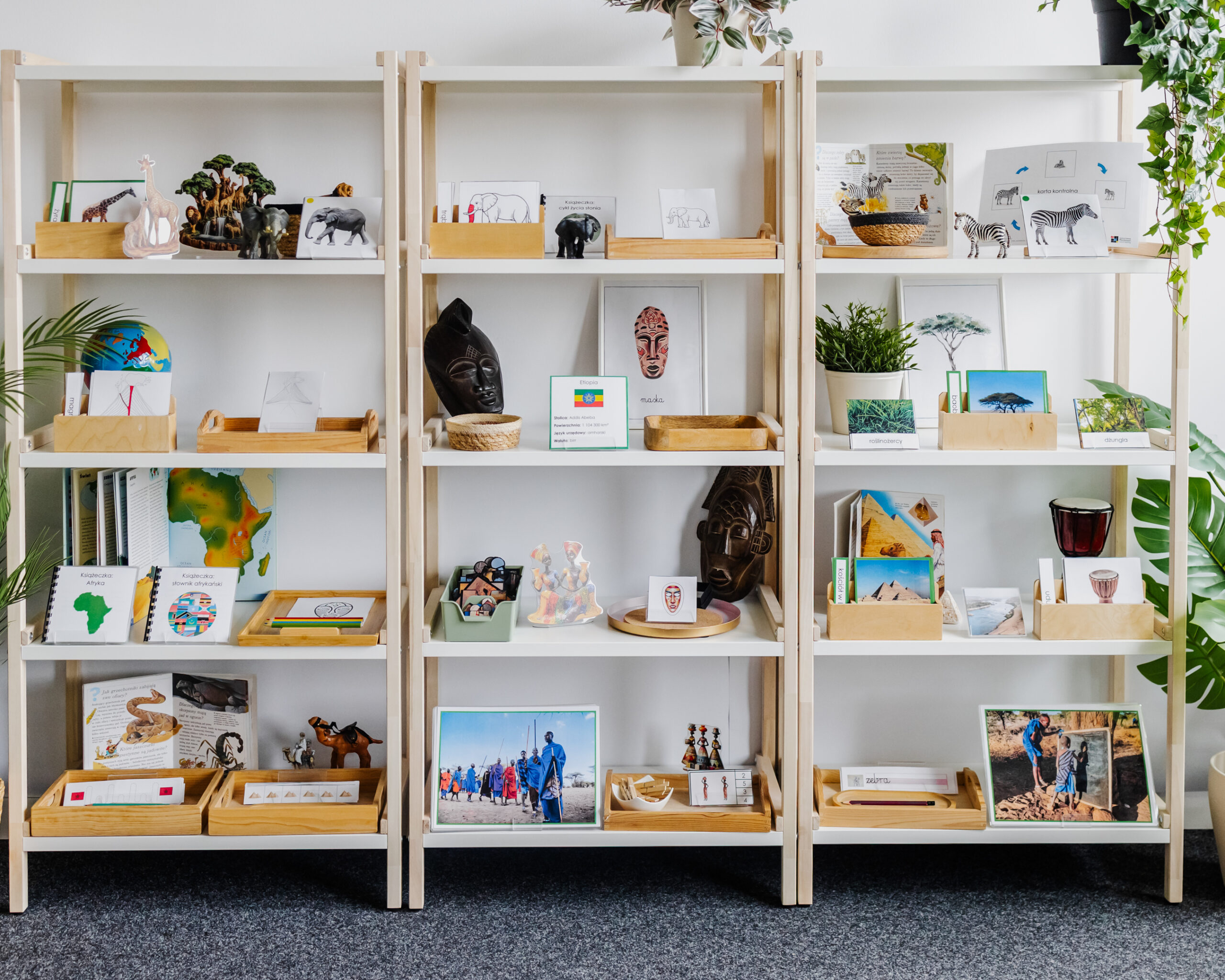 NIEZBĘDNIK EDUKACYJNY MONTESSORI AFRYKA - obrazek 16