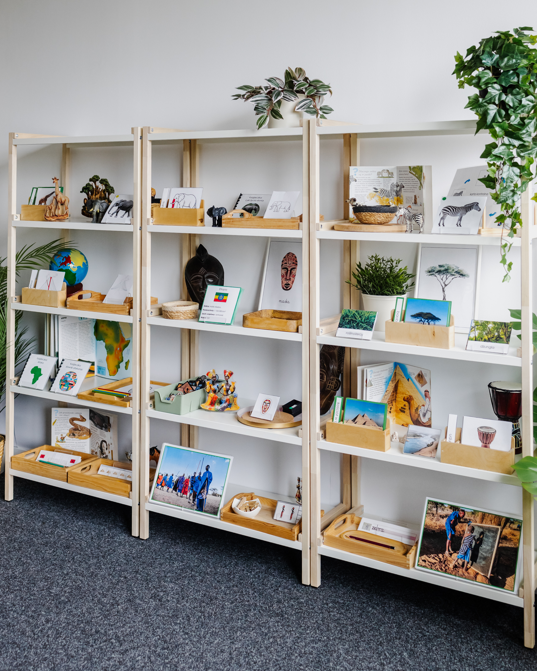 NIEZBĘDNIK EDUKACYJNY MONTESSORI AFRYKA - obrazek 13