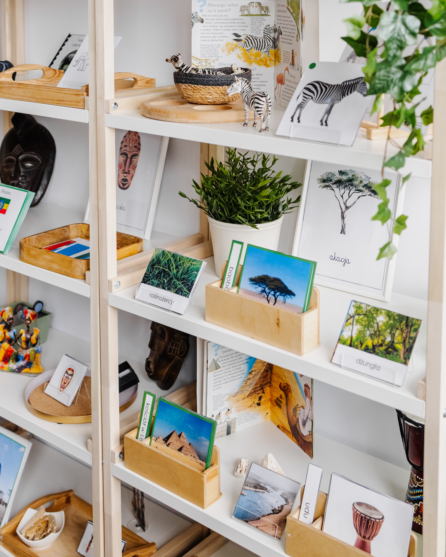 NIEZBĘDNIK EDUKACYJNY MONTESSORI AFRYKA - obrazek 14
