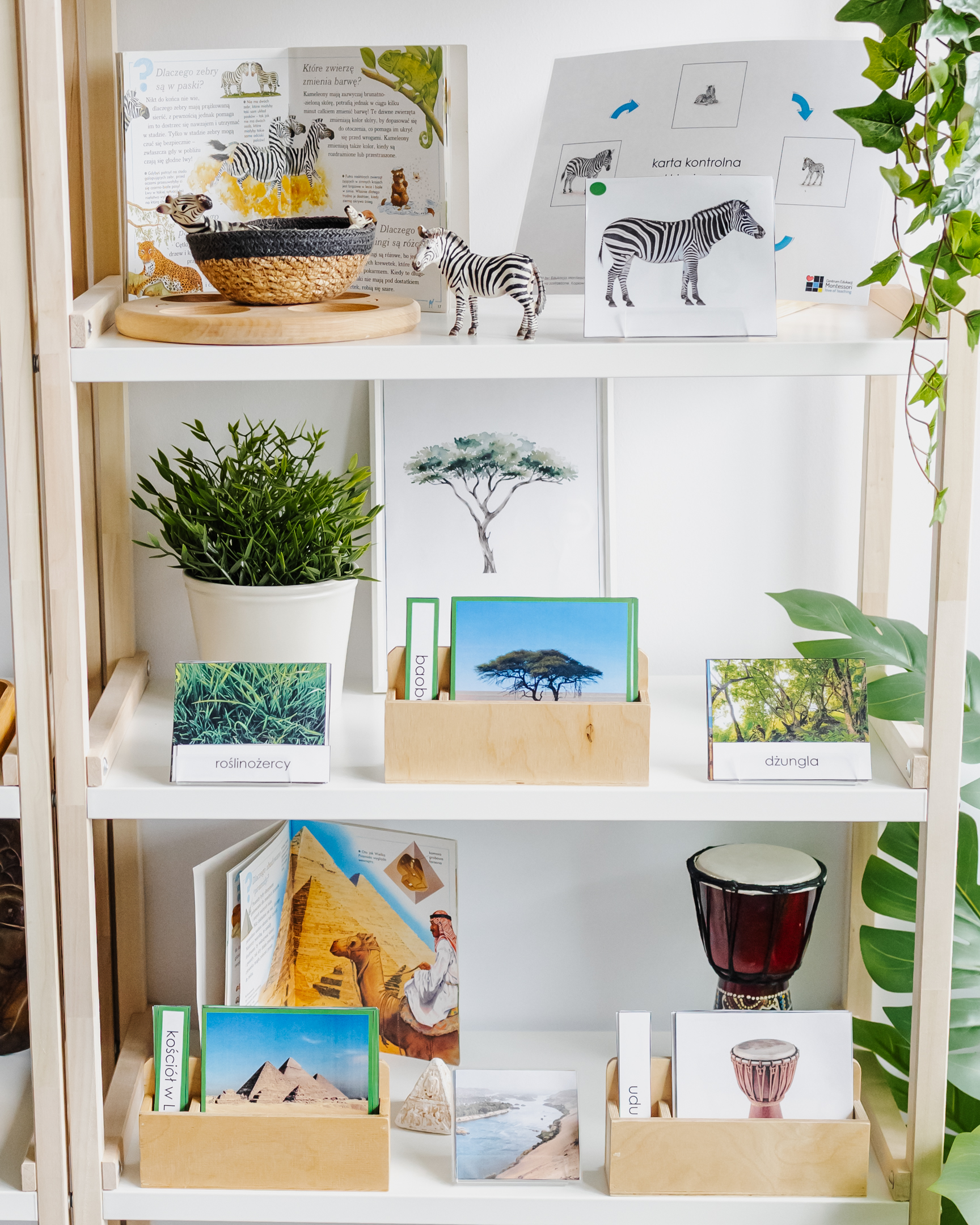 NIEZBĘDNIK EDUKACYJNY MONTESSORI AFRYKA - obrazek 3