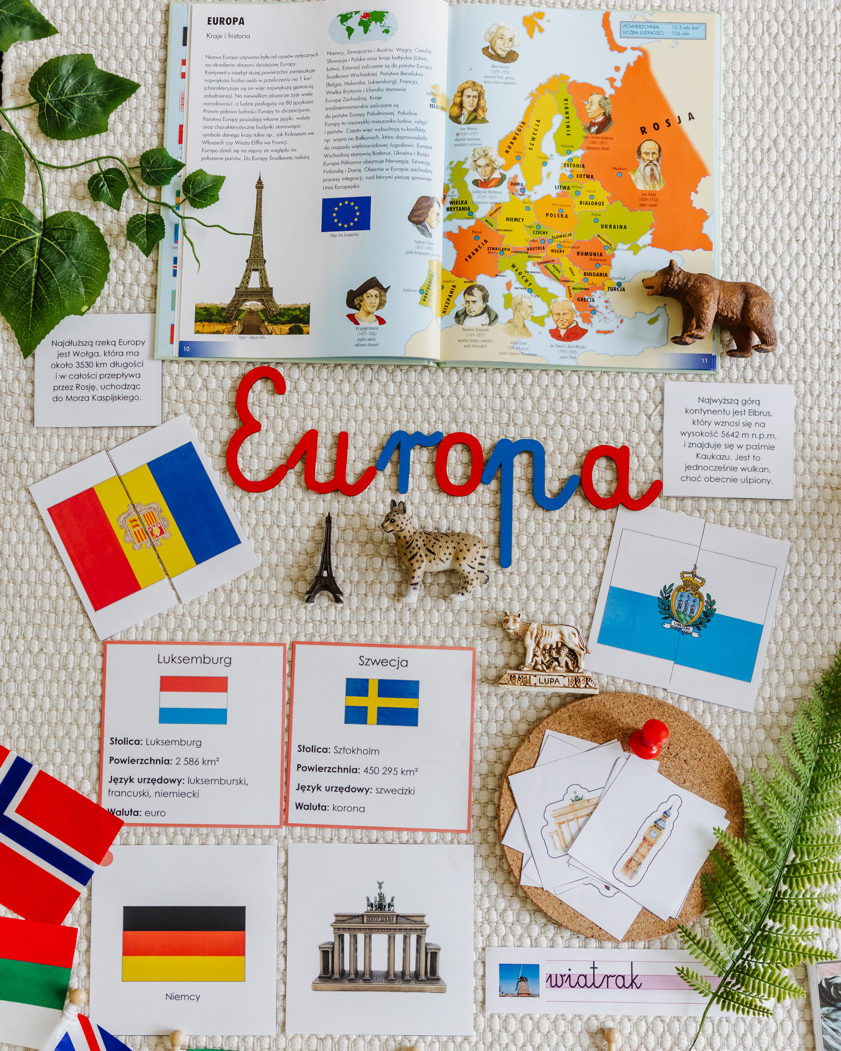 NIEZBĘDNIK EDUKACYJNY MONTESSORI EUROPA - obrazek 5