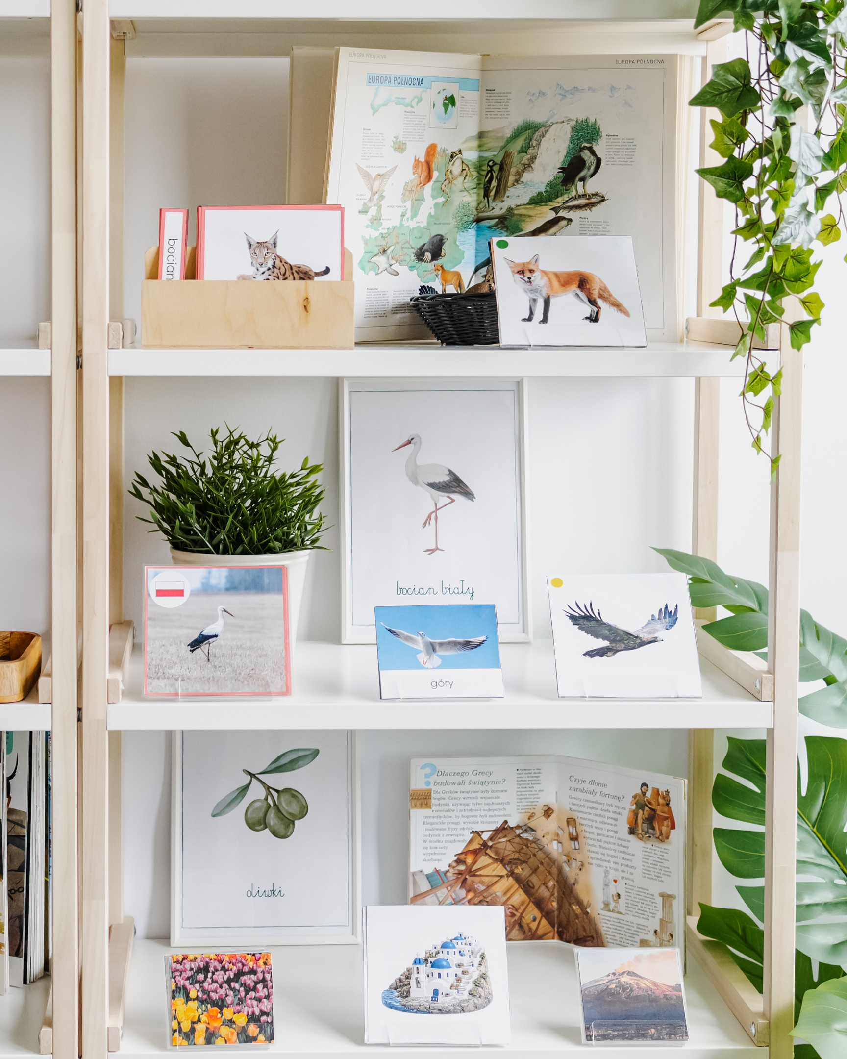 NIEZBĘDNIK EDUKACYJNY MONTESSORI EUROPA - obrazek 6